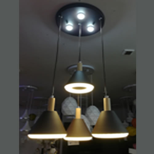 LED Ceiling Pendant 813/4